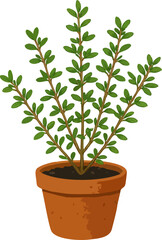 Potted Green Shrub Clipart