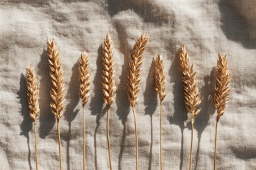 Dry wheat stems arranged on a textured rustic fabric background.