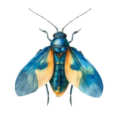 Watercolor Firefly vector, artistic painting style, high-resolution illustration on a pure white background.