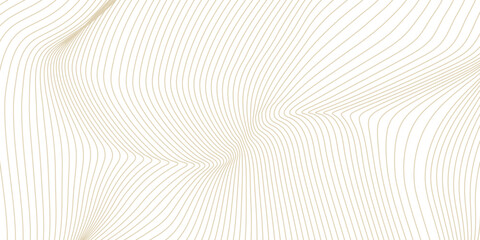 White background with gold line waves, Luxury banner background. eps 10