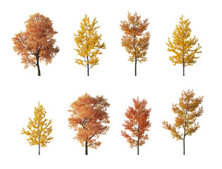Autumn tree collection cutout set isolated png on a transparent background premium nature cut out