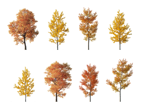 Autumn tree collection cutout set isolated png on a transparent background premium nature cut out