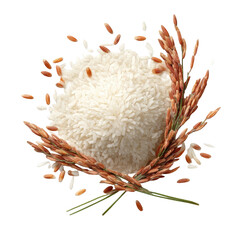 Fresh white rice grains and stalks artfully arranged for culinary inspiration and health, isolated on a transparent background