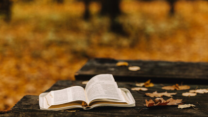 Open Bible Wooden Bench With
