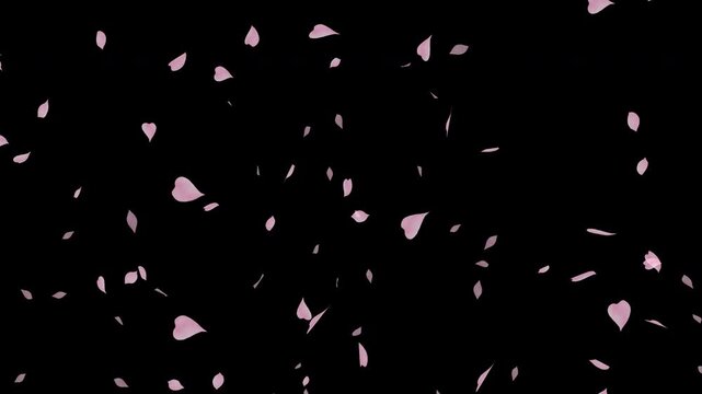 水彩風 下から上へ桜の花びらが舞う[4K-背景透過] Watercolor Spring Series:Cherry blossom petals dancing from bottom to top[with Alpha Channel / Transparent Background]4K