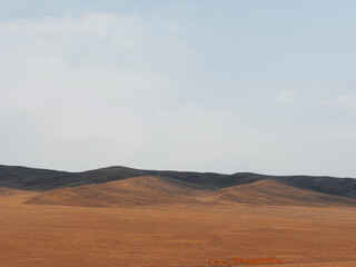 Harmonious Kazakh nature scene - undulating steppe, gentle slopes and clear sky.