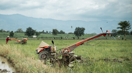 Fototapeta premium Rice farming, walking tractor on green rice field in countryside, Farmers were plowing in preparation for planting. This scene taken in Indonesia.