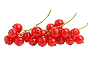 Isolated close-up of red currants or ribes rubrum berries on the vine with leaves still attached