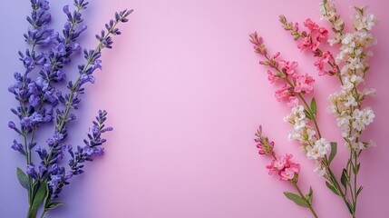 A curved border of multicolored wildflowers including pink, purple, and white blooms on a solid pink background