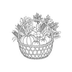 Detailed line drawing of a woven basket overflowing with fresh autumn harvest vegetables