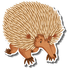 Illustration Of An Echidna With Spines On Its Body In A Walking Pose On A White Background With A Subtle Shadow And Outline