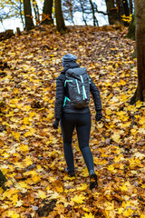 Naklejka premium Mature woman hiking in forest on autumn day. Back view 