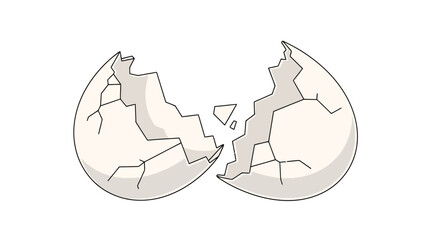 A cracked twohalved eggshell on a white background