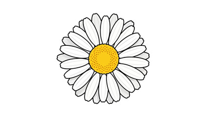 A detailed cartoon illustration of a white daisy with a yellow center