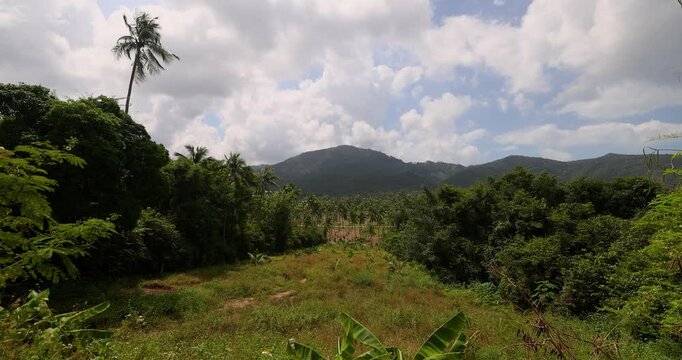 Tropical mountain landscape with palm trees, dense jungle, and bright clouds drifting across a blue sky. The lush greenery and natural light evoke the calm and freshness of a tropical island.
