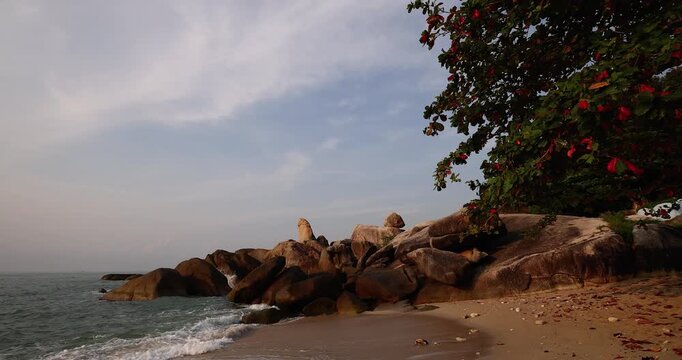Tropical beach with golden sand, gentle waves, and large granite rocks under a soft evening sky. Green and red leaves of a seaside tree frame the view, creating a warm and tranquil coastal scene.