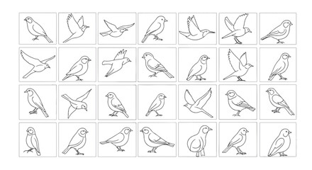 Set of Various Bird Poses in Minimalist Line Art Illustration Style, Simple and Clean Design for Wildlife and Nature Concepts