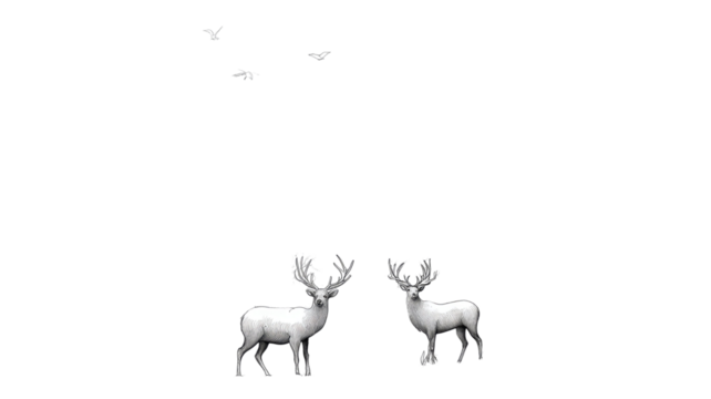 Flamingo animal silhouette vector art illustration of two cute birds on white and a wild deer with antlers in the snow for Christmas nature wildlife