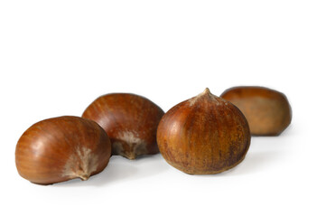 Edible Chestnuts in Shell on White Background Autumn Harvest