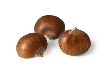 Edible Chestnuts on White Background Natural Texture