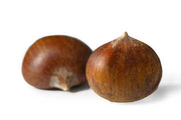 Two Edible Chestnuts on White Background Natural
