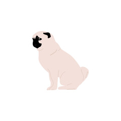 Funny pug puppy sitting  on a white background. Beautiful purebred puppy. Funny puppy with a black muzzle. Vector illustration.