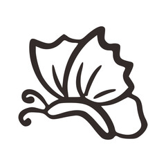 outline handdrawn butterfly