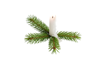 Burning candle with fir branches for christmas isolated on transparent background