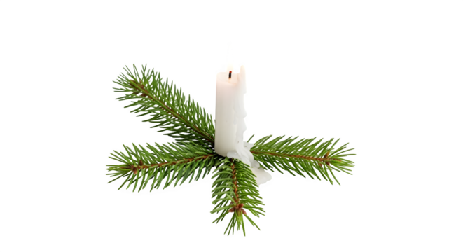 Burning candle with fir branches for christmas  isolated on transparent background