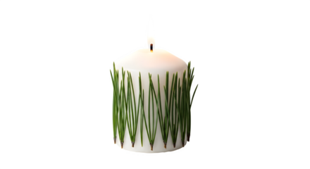 White candle with green pine needles  isolated on transparent background