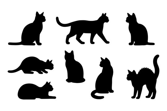 Black cat silhouettes in various poses against white background.