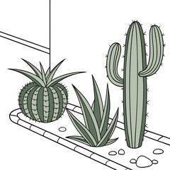 small cacti with a white wall background