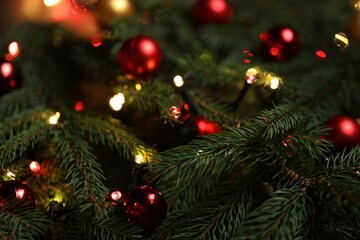 Beautiful spruce tree branches with Christmas ornaments and lights as background, selective focus