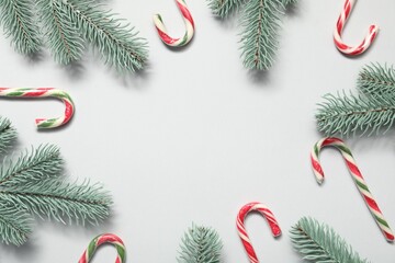 Christmas celebration. Candy canes and fir tree branches on white background, flat lay. Space for text