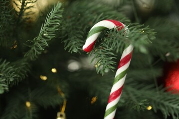 Candy cane and lights on Christmas tree, closeup
