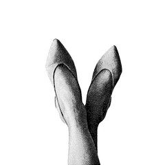 Pair of Pink High Heels 