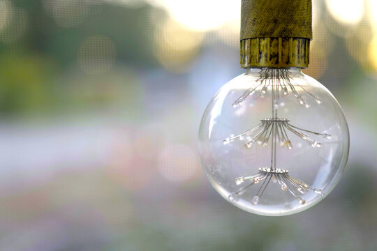 Description: Close-up of a decorative LED filament light bulb hanging outdoors, featuring a blurred background of greenery and warm light bokeh.