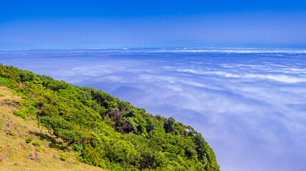 Fog Seascape from Mystical Fanal Forest, Vereda do Fanal, Laurissilva Forest Paul da Serra,  UNESCO World Heritage Site, Madeira, Portugal, Europe