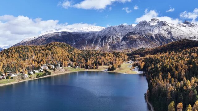 Lake Sils in Engadin valley Switzerland drone orbits, calm blue water, golden forest and snowy alps near Sankt Moritz under bright autumn sunlight.