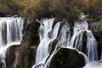 waterfall on the rocks with bushes in the park