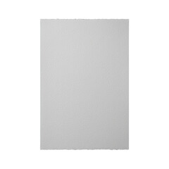 Blank Standing Poster Board
