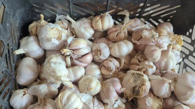 A pile of freshly harvested garlic bulbs filling a crate, showing various textures and hues of white and light purple. Suitable for themes related to cooking, health, seasoning, and market produce.