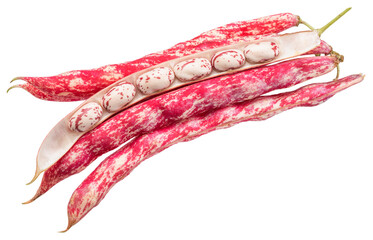 Borlotti beans or pinto beans and on white background. File contains clipping paths.