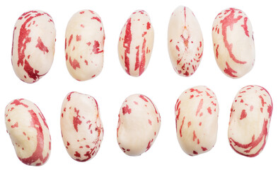 Set of individual spotted cranberry beans isolated on white background. File contains clipping paths.