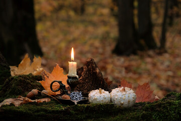 burning candle, pentacle amulet and decorative pumpkins in autumn forest, dark nature backdrop. fall season. Witchcraft, Magic, esoteric spiritual ritual for mabon, halloween, samhain holidays
