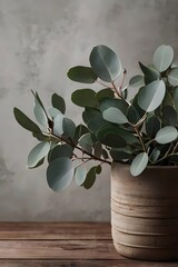 Eucalyptus