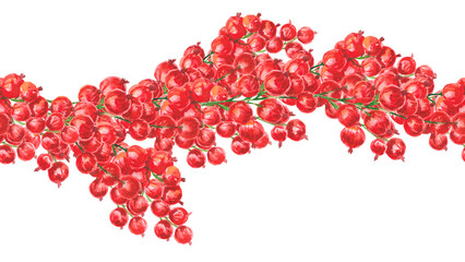 Red currant. Watercolor summer seamless border with red currants isolated on white. Botanical berry repeatable design for packaging, textile, invitations, menu, cookbook, kitchen and seasonal decor