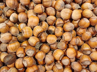 Close-Up of Whole Hazelnuts in Shells Packed Together