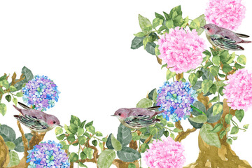 Floral and Little bird summer Illustration background with tropical japanese