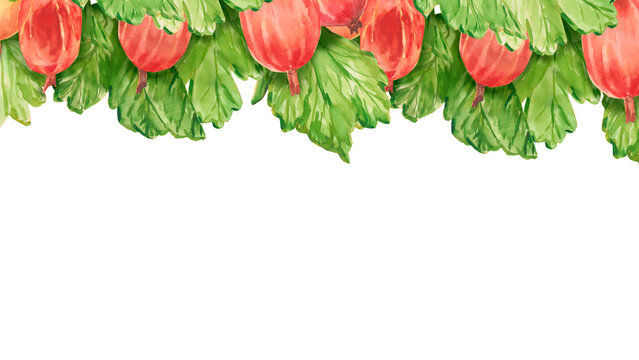 Gooseberry. Watercolor rectangular frame of ripe gooseberry with leaves hand drawn isolated on white with copy space for text. Red berries for invitations, cookbook, kitchen and seasonal decor